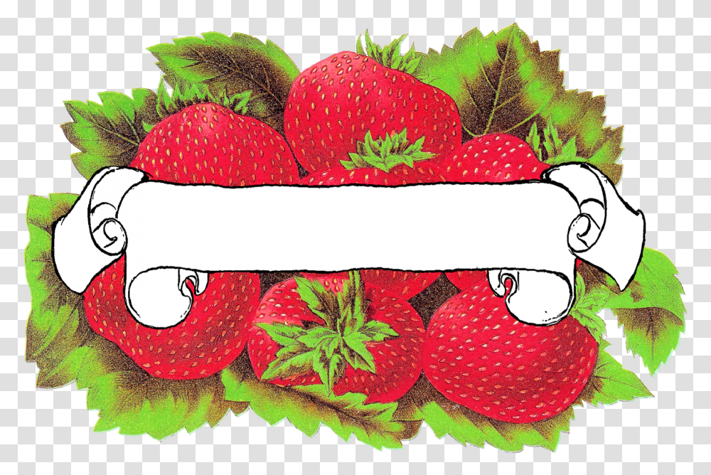 Label Blank Strawberry Download Printable, Plant, Petal, Flower Transparent Png
