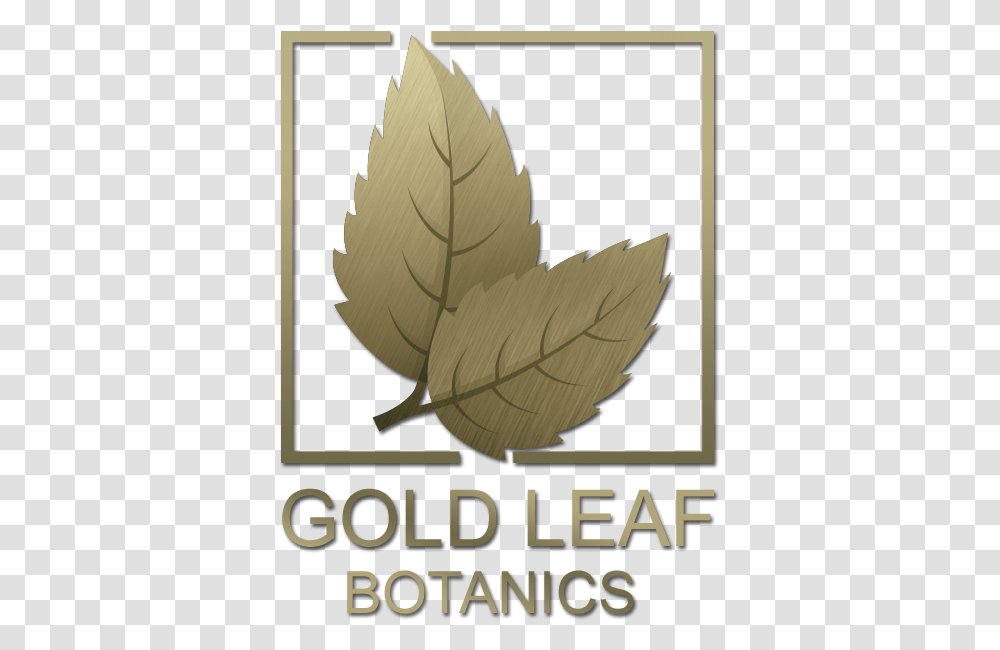 Label, Leaf, Plant, Poster, Vase Transparent Png