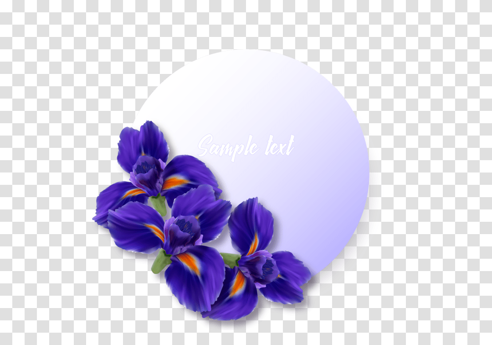 Label Or Sticker With Realistic Iris Flowers Iris Flower, Plant, Blossom, Balloon, Pansy Transparent Png