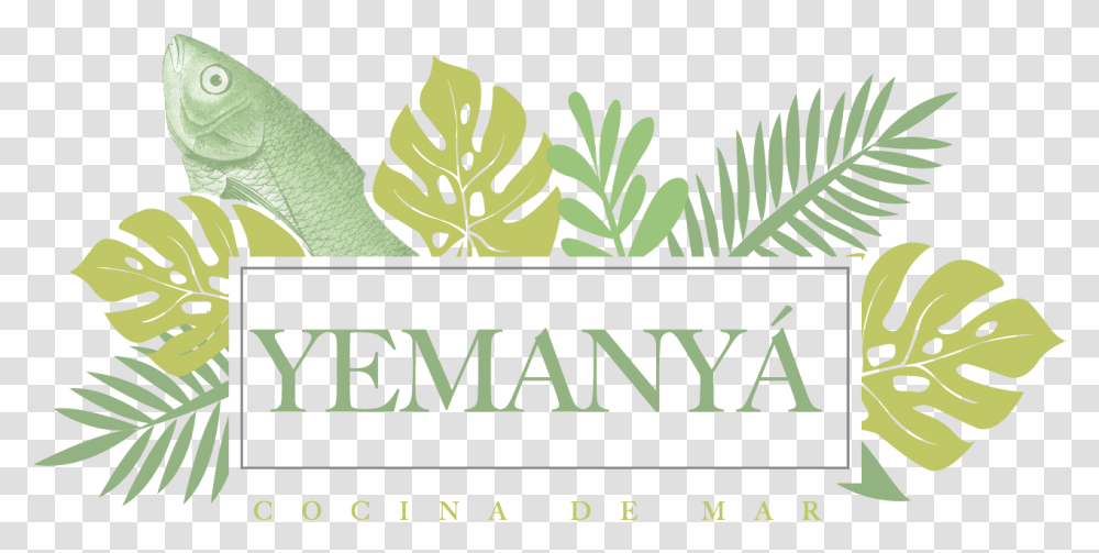 Label, Alphabet, Plant, Vegetation Transparent Png