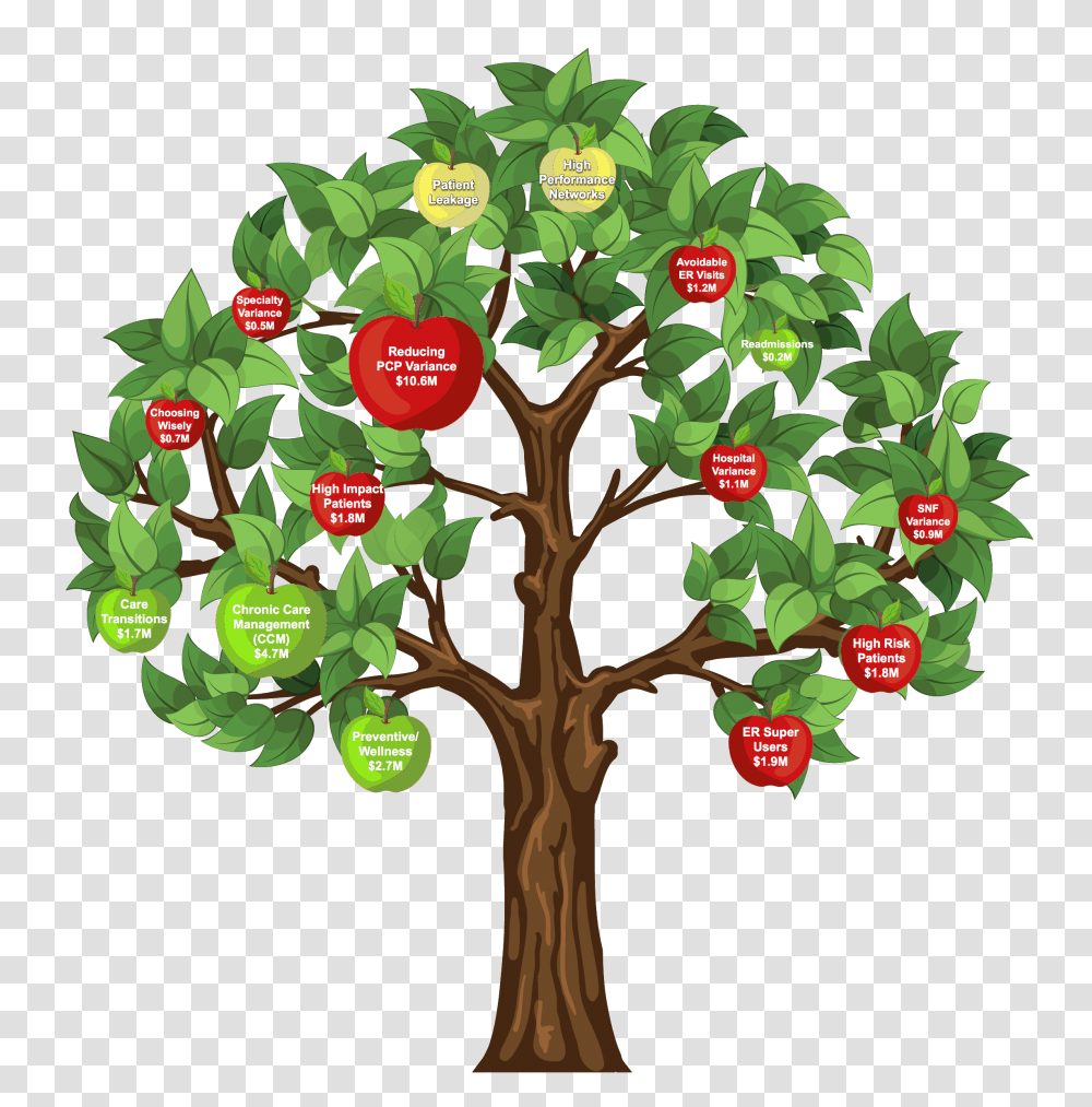 Labeled Apple Tree, Plant, Green, Vegetation, Land Transparent Png