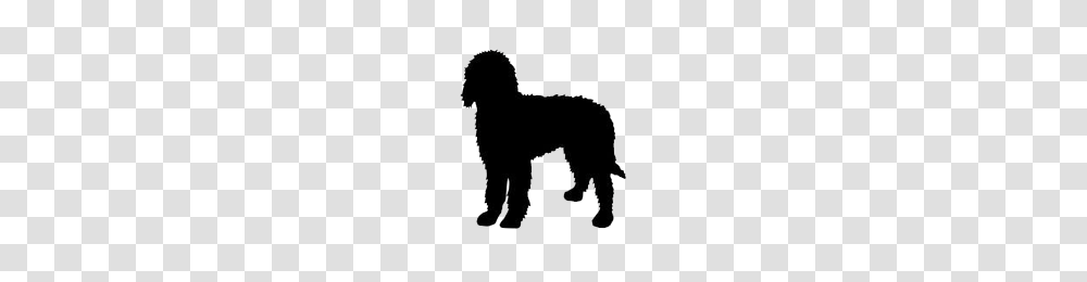 Labradoodle Clipart, Silhouette, Canine, Mammal, Animal Transparent Png