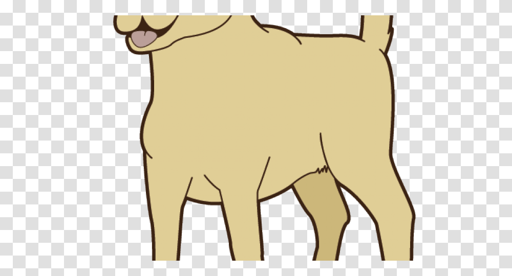 Labrador Clipart Grey Dog, Mammal, Animal, Sheep, Wildlife Transparent Png