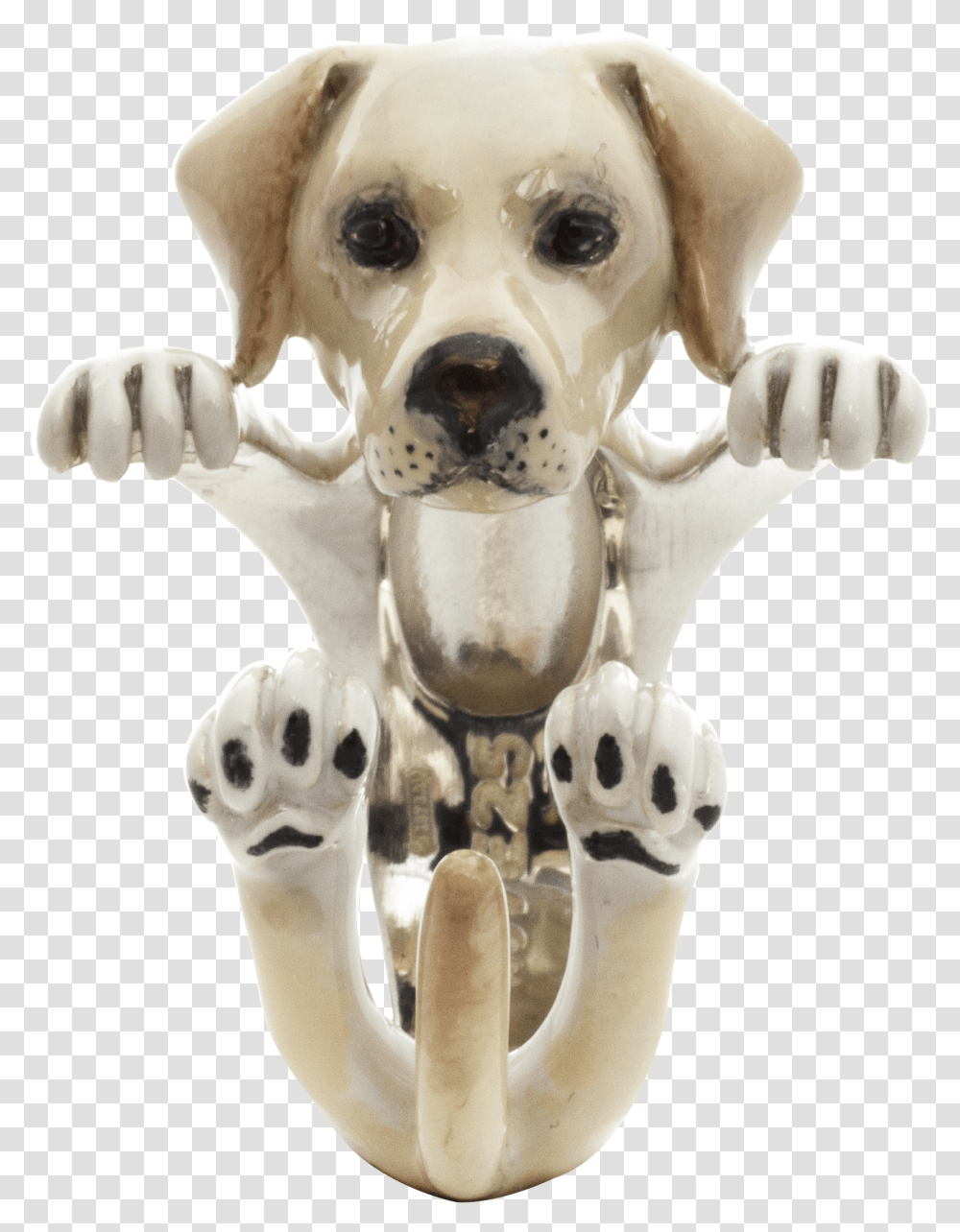 Labrador Dog Fever Anello Labrador, Pet, Canine, Animal, Mammal Transparent Png