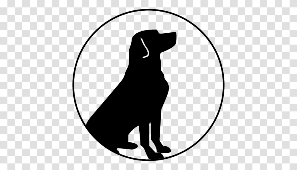 Labrador Retriever, Animals, Dog, Pet, Kneeling Transparent Png