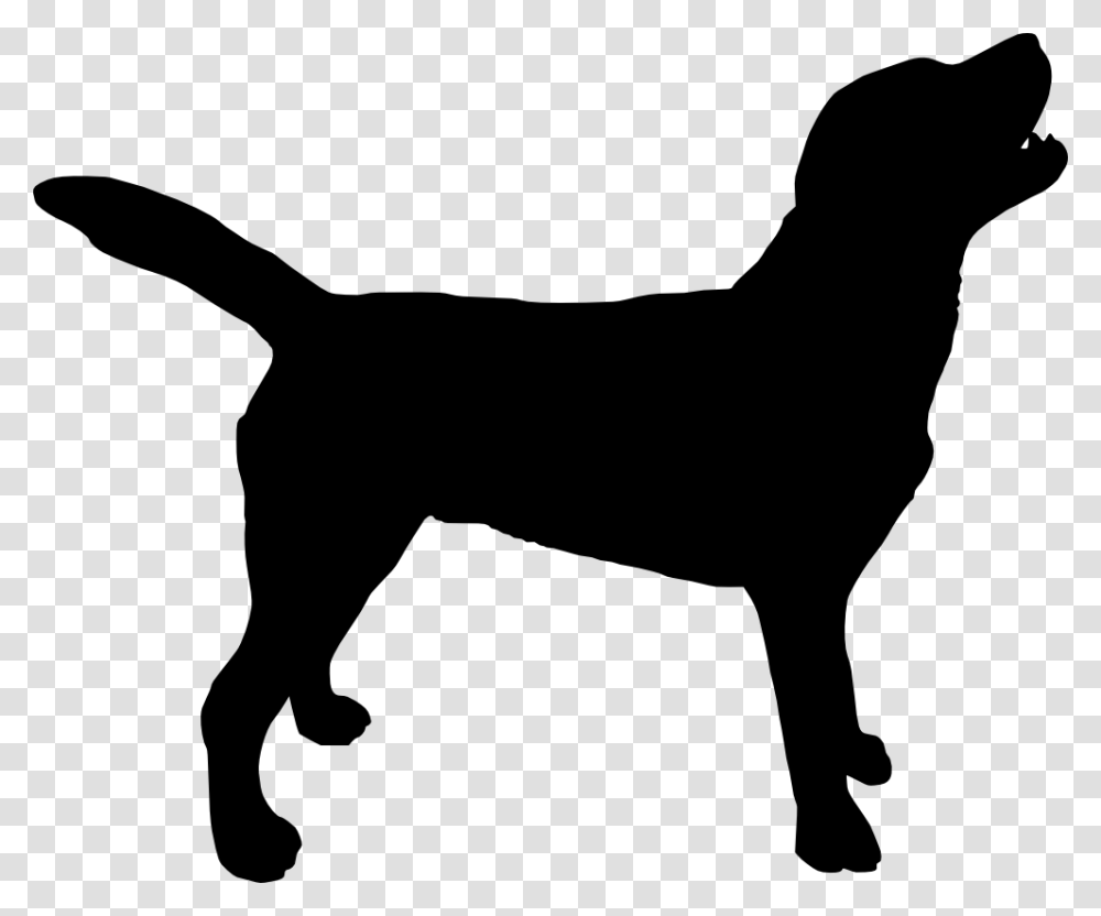 Labrador Retriever, Animals, Silhouette, Pet, Stencil Transparent Png