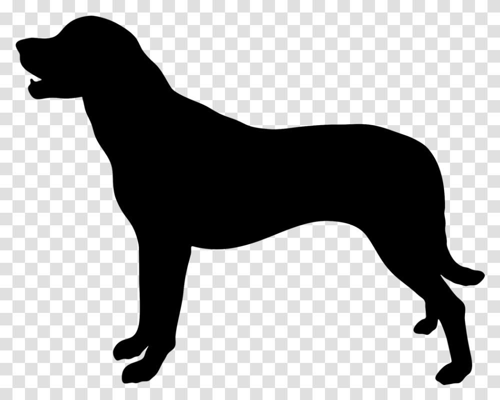 Labrador Retriever Arabian Horse Dog Breed Sticker Hound Dog Silhouette, Gray, World Of Warcraft Transparent Png