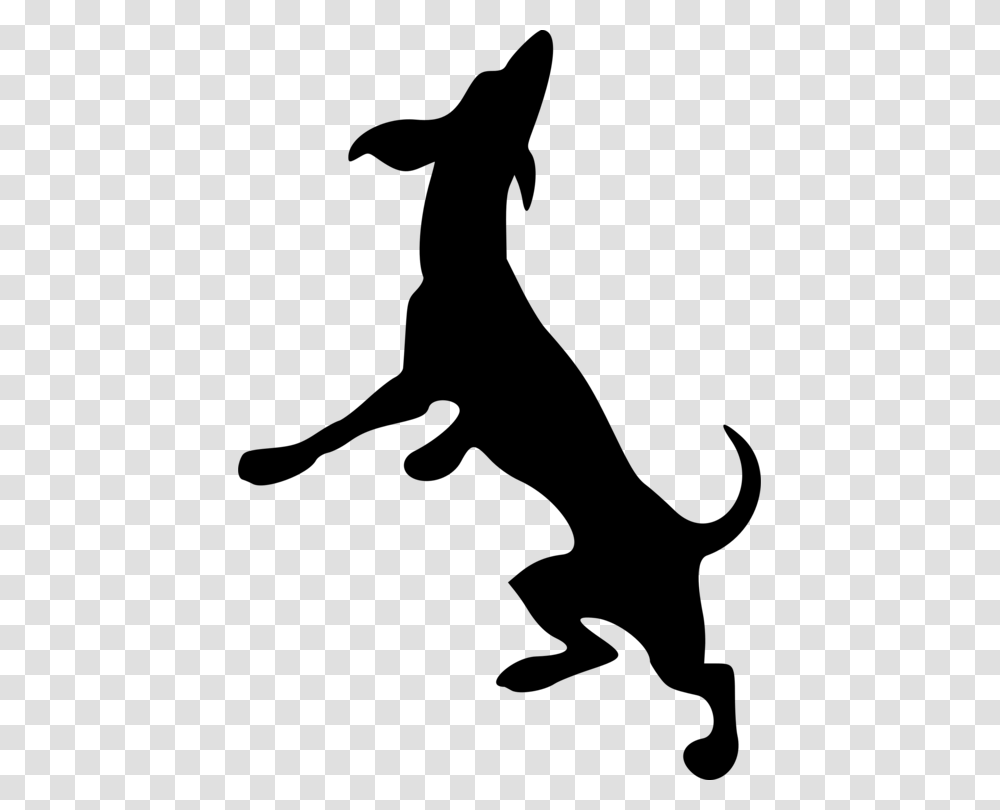 Labrador Retriever Dobermann Scotch Collie Italian Greyhound Free, Gray, World Of Warcraft Transparent Png