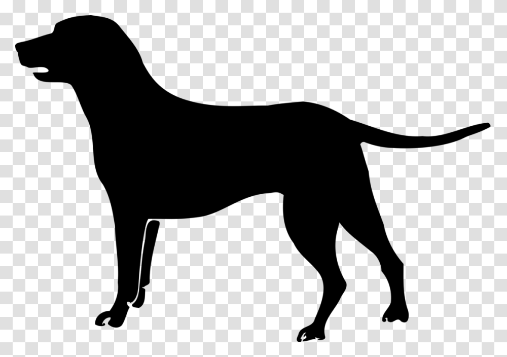 Labrador Retriever Havanese Dog Puppy Poodle Bichon Frise Free, Gray, World Of Warcraft Transparent Png