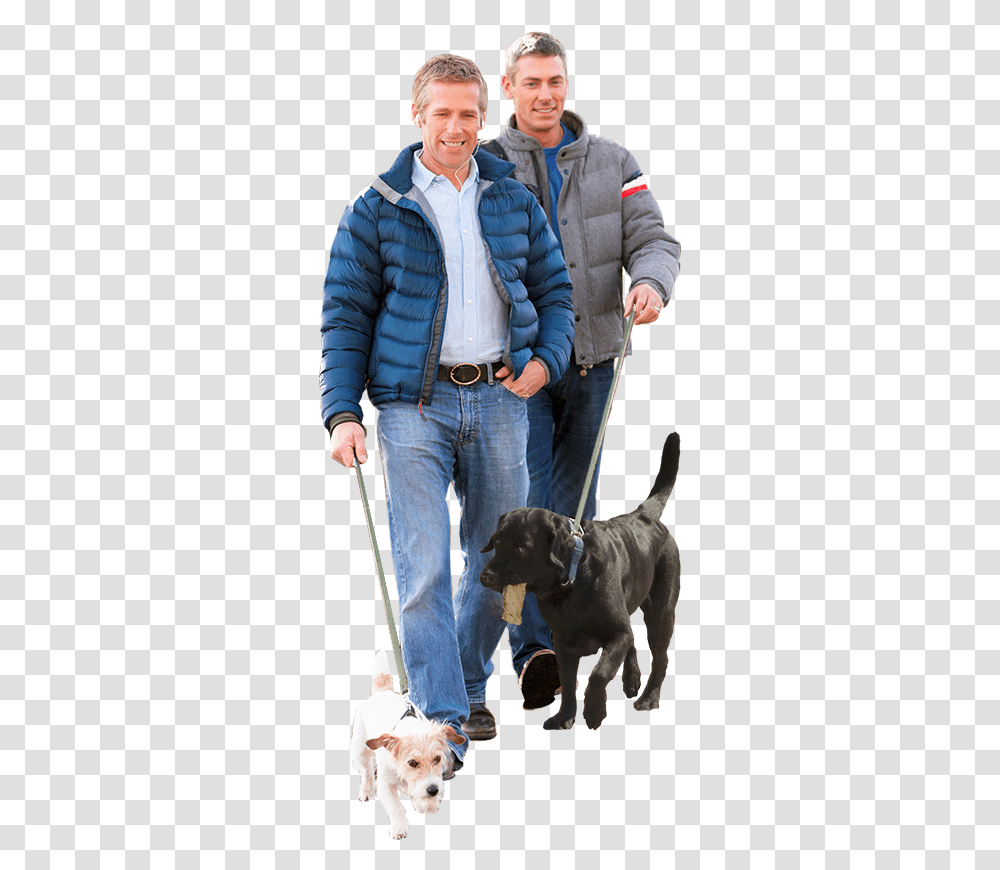 Labrador Retriever, Pants, Person, Dog Transparent Png