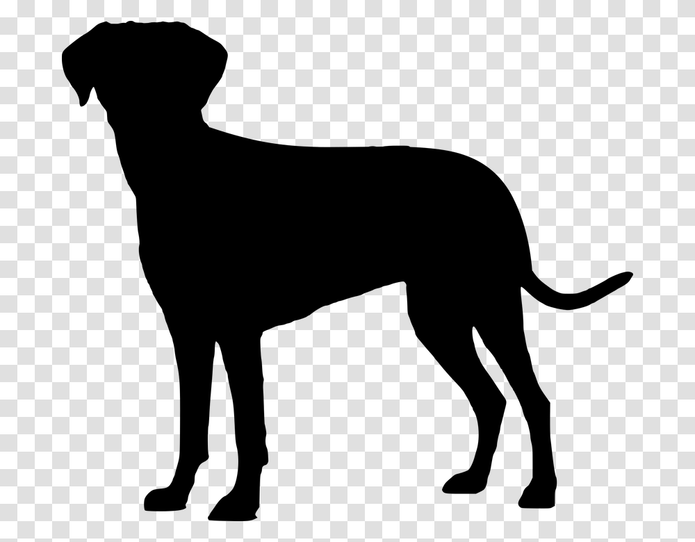 Labrador Retriever Puppy Image Clip Art Dog Breed Cachorro Silhueta, Gray, World Of Warcraft Transparent Png