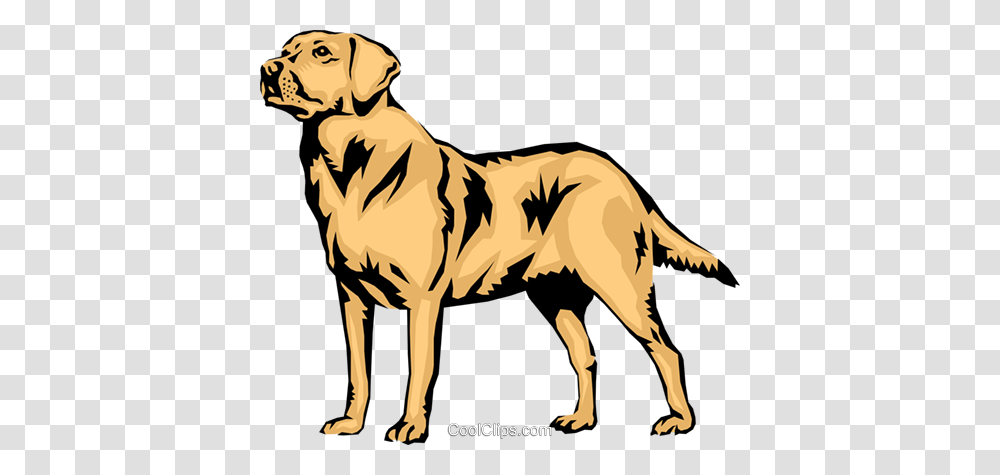 Labrador Retriever Royalty Free Vector Clip Art Illustration, Canine, Mammal, Animal, Dog Transparent Png