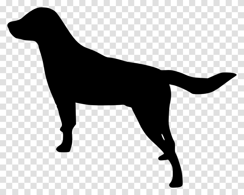 Labrador Silhouette, Person, Human, Stencil, Mammal Transparent Png