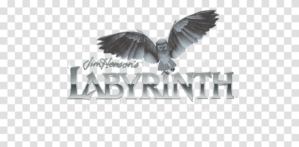 Labyrinth Owl Logo Tshirt Accipitridae, Animal, Symbol, Bird, Eagle Transparent Png