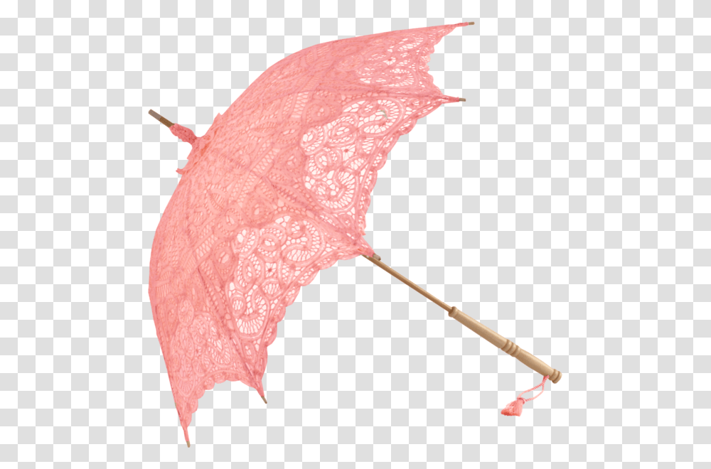 Lace Umbrella, Fungus, Canopy, Bird, Animal Transparent Png