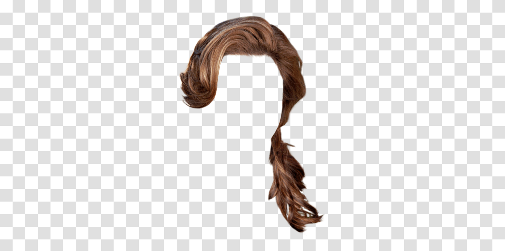 Lace Wig, Animal, Mammal, Person, Face Transparent Png