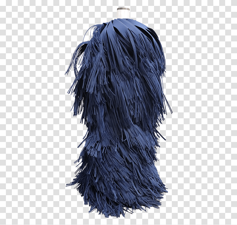 Lace Wig, Apparel, Bird, Feather Boa Transparent Png