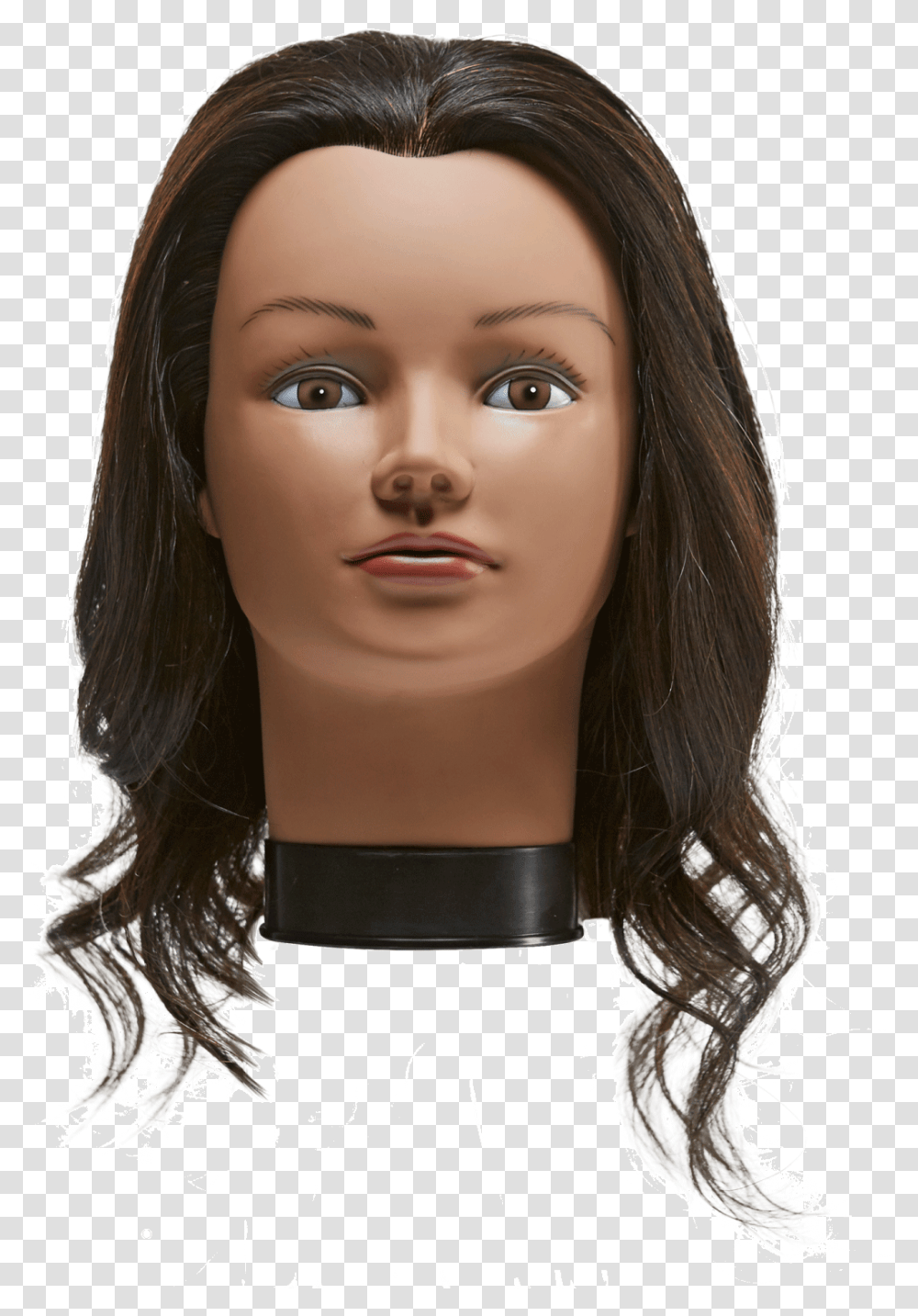 Lace Wig Download Miss Chelsea Mannequin Head, Doll, Toy, Person, Human Transparent Png
