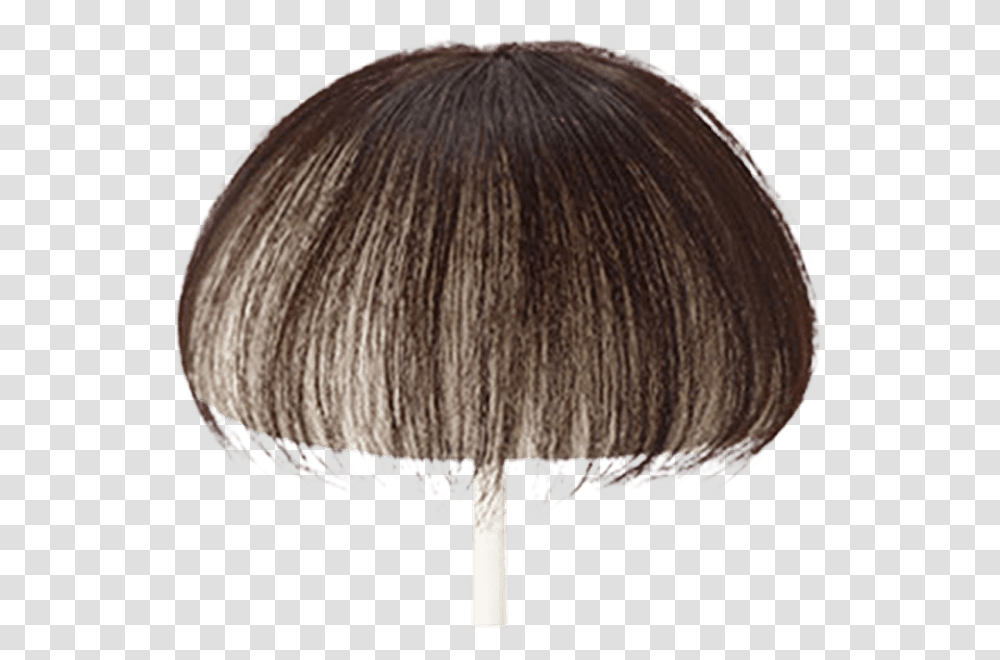 Lace Wig, Fungus, Lamp, Lampshade, Hair Transparent Png