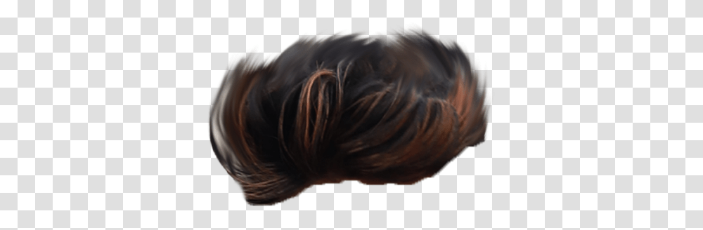 Lace Wig, Hair, Animal, Person, Home Decor Transparent Png