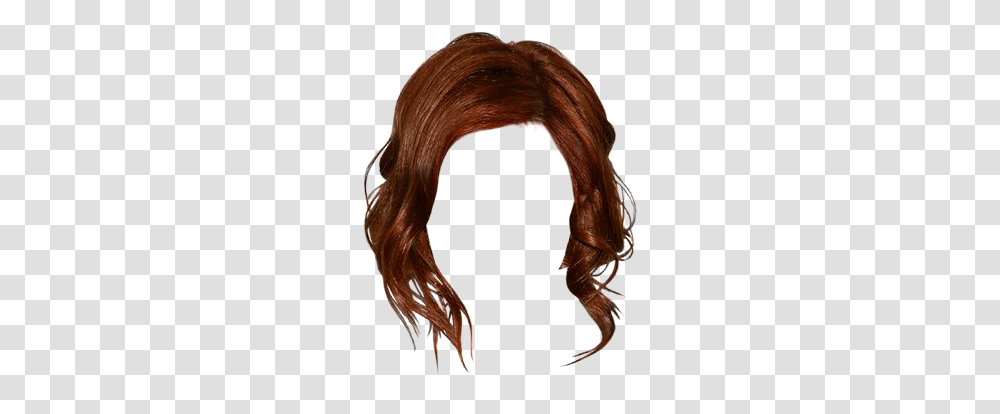 Lace Wig, Hair, Animal, Person, Human Transparent Png