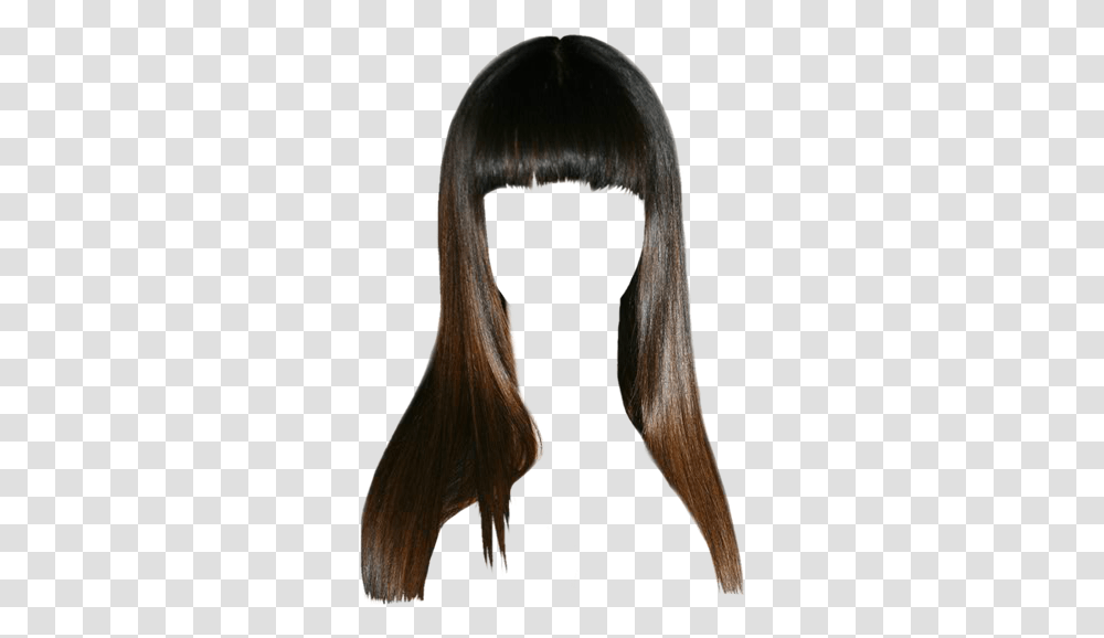 Lace Wig, Hair, Bird, Animal, Black Hair Transparent Png