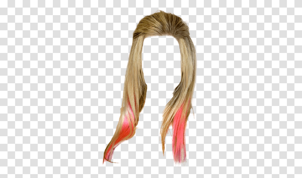 Lace Wig, Hair, Bird, Animal, Costume Transparent Png