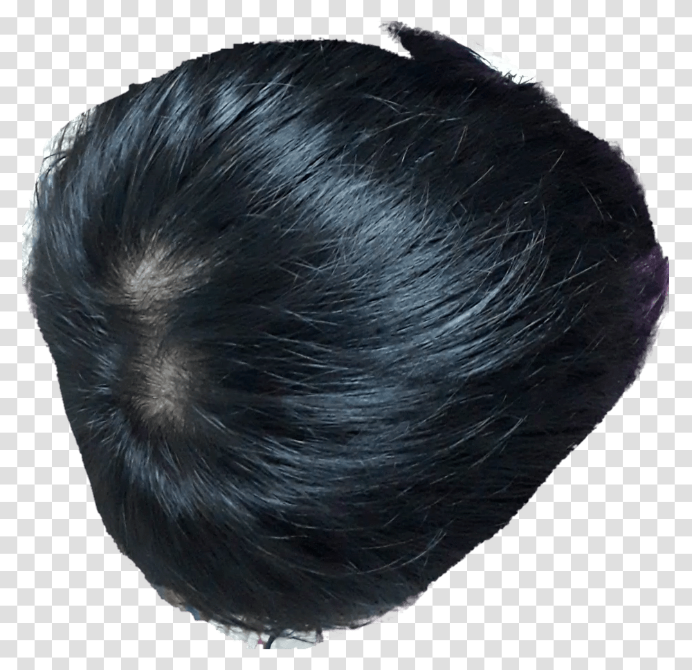Lace Wig, Hair, Bird, Animal, Hair Slide Transparent Png