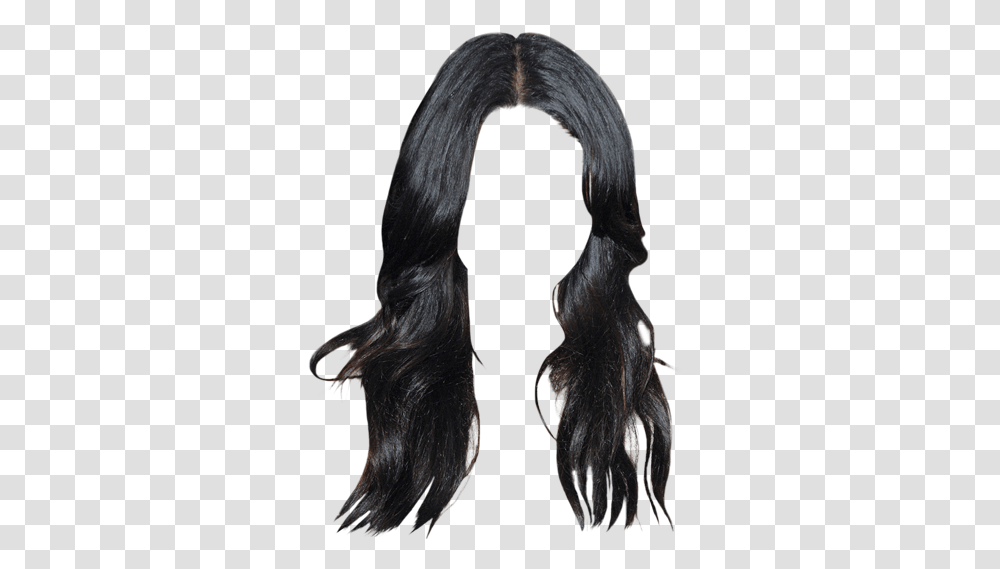 Lace Wig, Hair, Bird, Animal, Horse Transparent Png