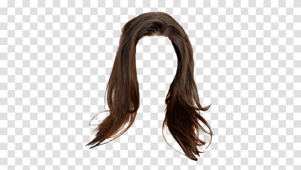 Lace Wig, Hair, Bird, Animal, Horse Transparent Png