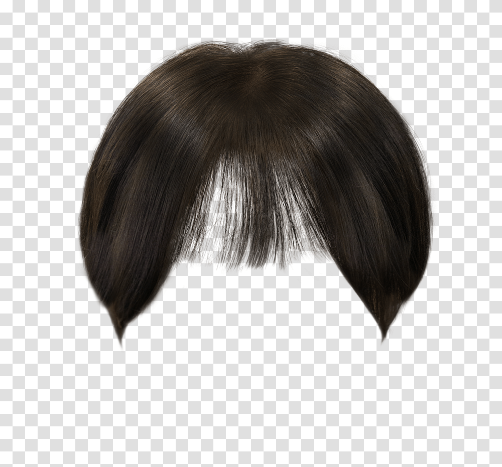 Lace Wig, Hair, Bird, Animal, Person Transparent Png