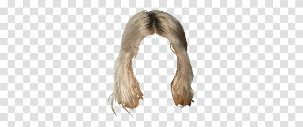 Lace Wig, Hair, Bird, Animal, Person Transparent Png