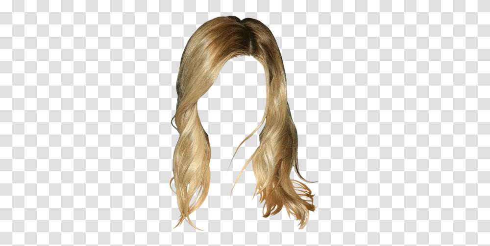 Lace Wig, Hair, Bird, Animal, Ponytail Transparent Png