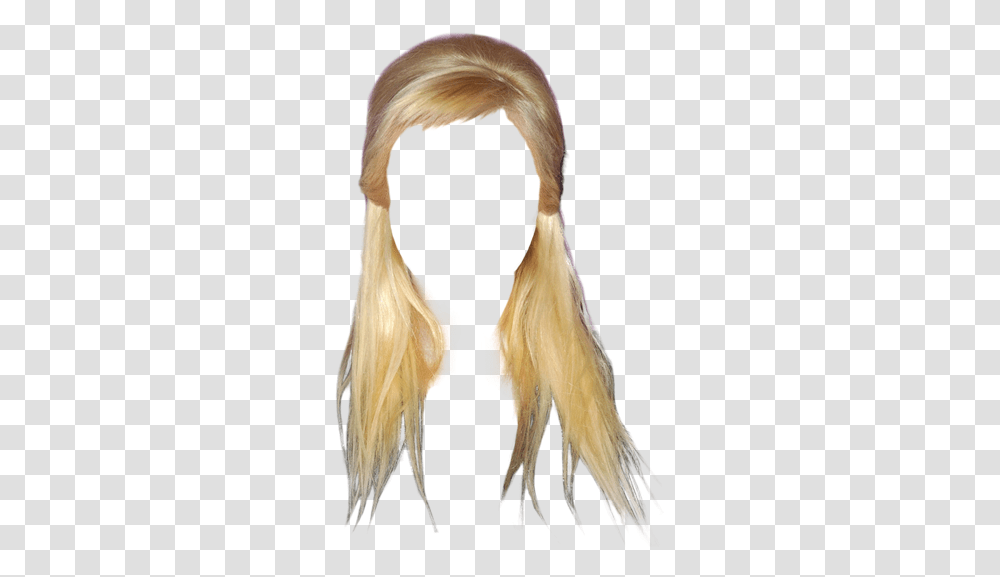 Lace Wig, Hair, Bird, Animal, Ponytail Transparent Png