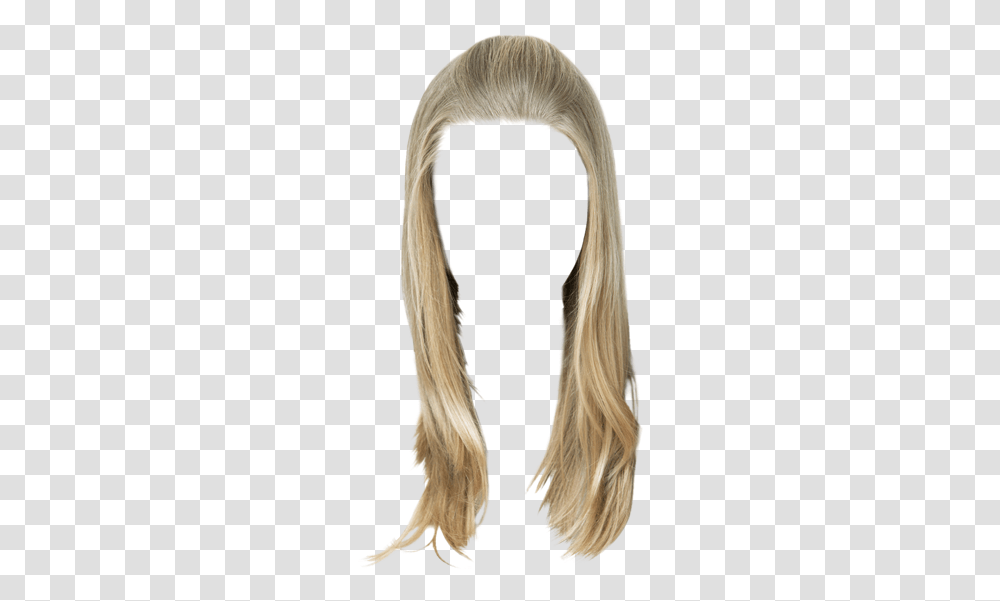 Lace Wig, Hair, Bird, Animal, Ponytail Transparent Png