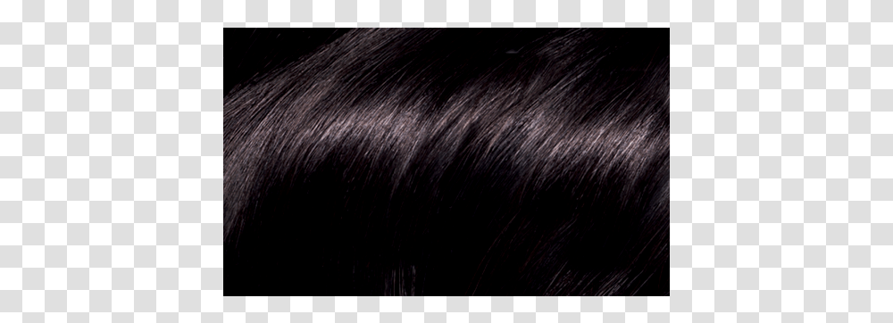 Lace Wig, Hair, Black Hair, Cat, Pet Transparent Png