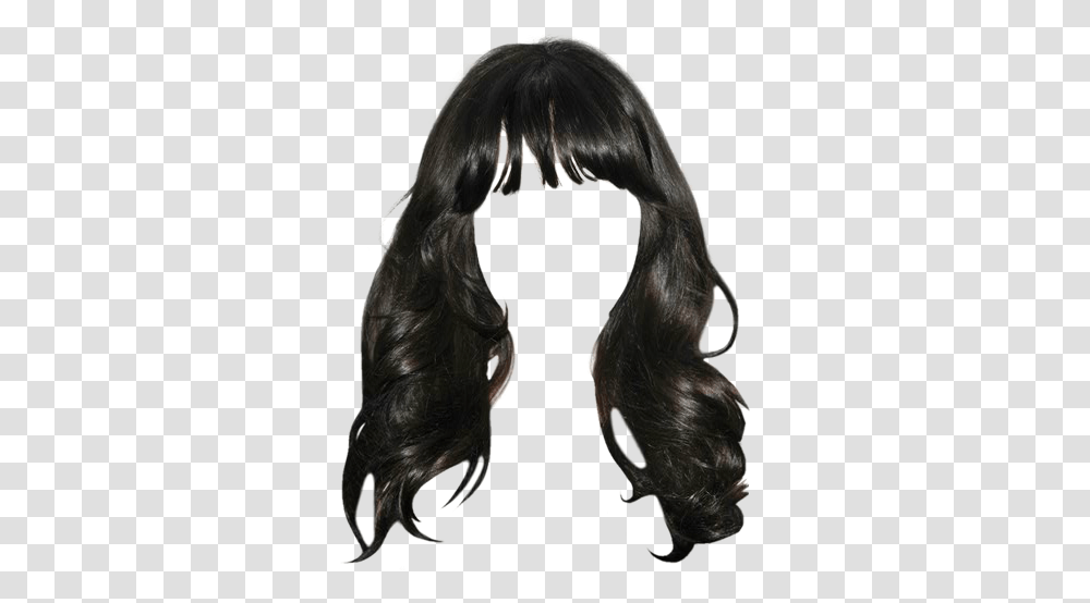 Lace Wig, Hair, Black Hair, Horse, Mammal Transparent Png
