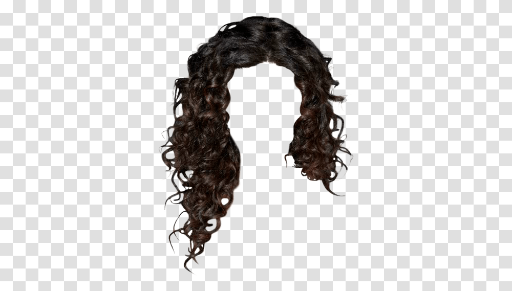 Lace Wig, Hair, Dog, Pet, Canine Transparent Png