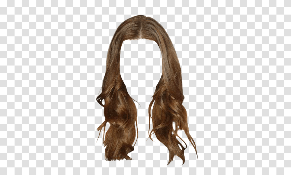 Lace Wig, Hair, Fur, Painting Transparent Png