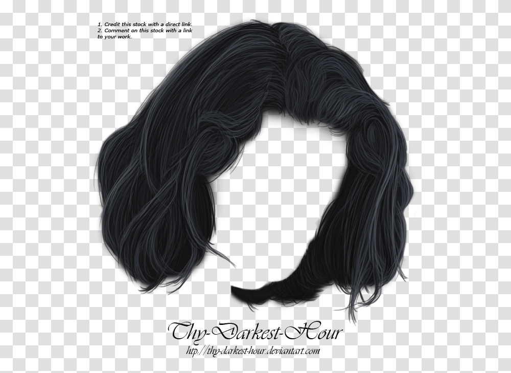 Lace Wig, Hair, Elephant Transparent Png