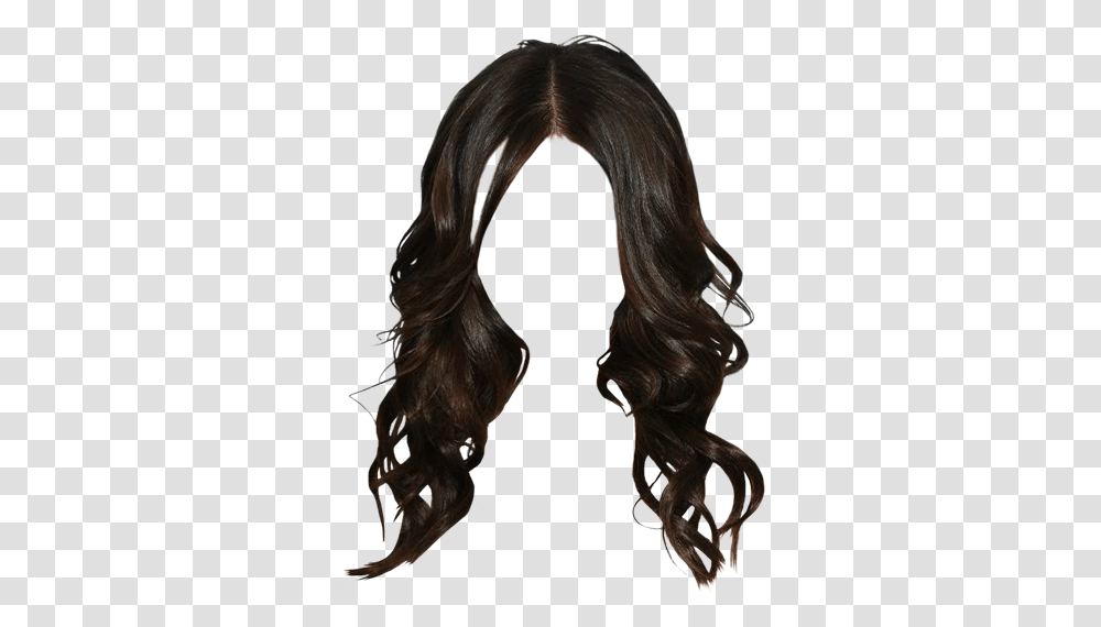 Lace Wig, Hair, Horse, Mammal, Animal Transparent Png