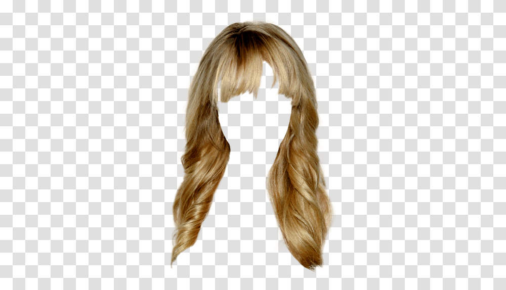 Lace Wig, Hair, Hound, Dog, Pet Transparent Png