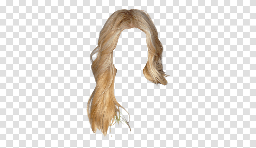 Lace Wig, Hair, Hound, Dog, Pet Transparent Png