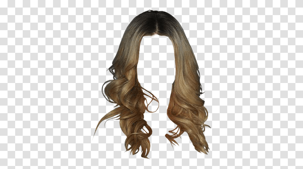 Lace Wig, Hair, Painting, Bird Transparent Png