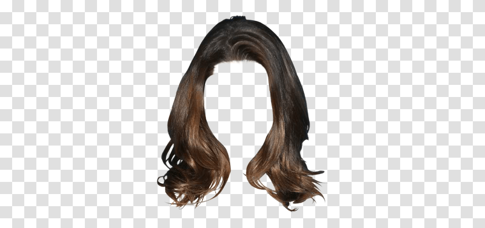 Lace Wig, Hair, Painting, Bird Transparent Png