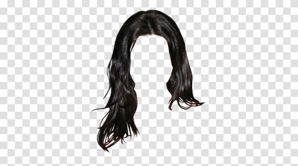 Lace Wig, Hair, Painting, Horse Transparent Png