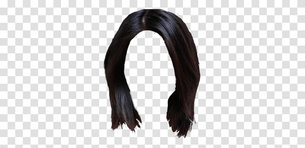 Lace Wig, Hair, Person, Black Hair, Fur Transparent Png
