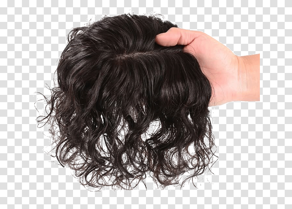 Lace Wig, Hair, Person, Human, Aluminium Transparent Png