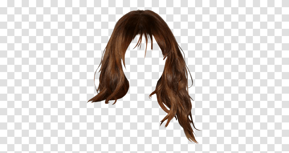 Lace Wig, Hair, Person, Human, Animal Transparent Png