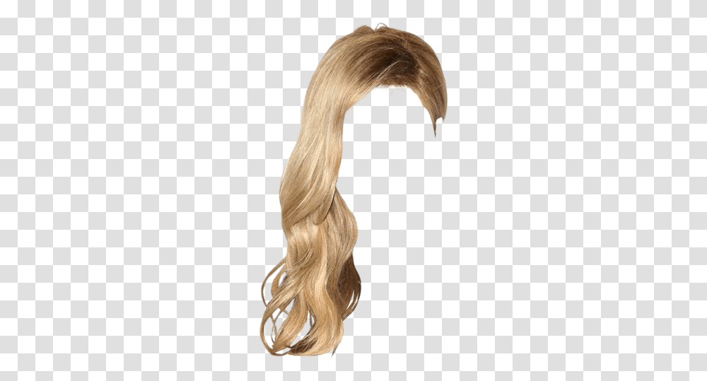 Lace Wig, Hair, Person, Human, Bird Transparent Png